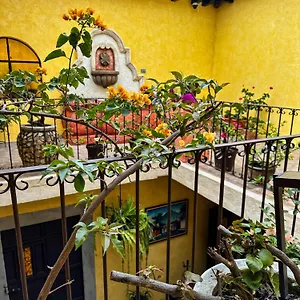 Maison Bougainvillea Albergue